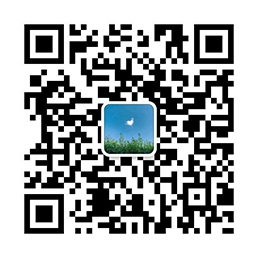 青島黄片APP91免费版廠家二維碼